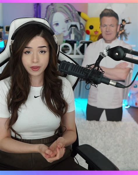 Pokimane and Ninja controversy reveals one thing .